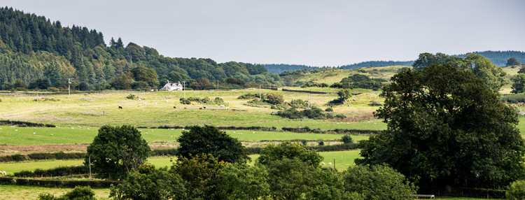 agriculture,farming,land_reform